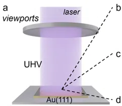Achieving selective photochemistry on a metal surface by tuning the aromatic core