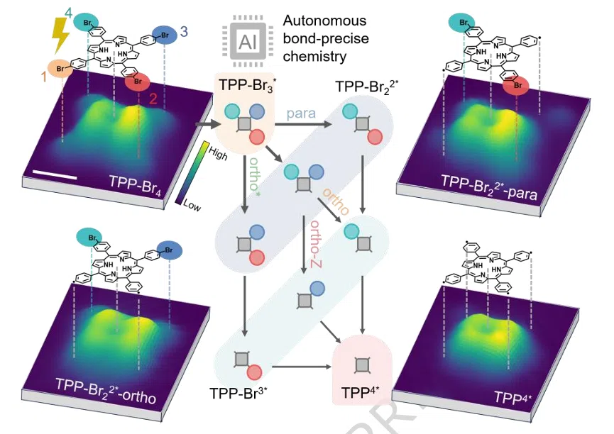Deep learning drives autonomous molecular reactions with single-bond selectivity in tetra-brominated porphyrins on Au(111)