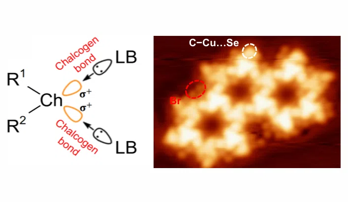 Surface nanostructures regulated by chalcogen bonding interactions