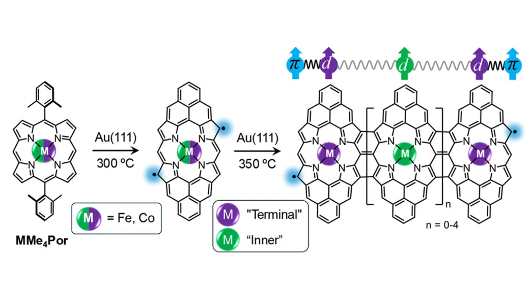Tailoring π-d Magnetic Interactions in Metallated Porphyrin Nanotapes