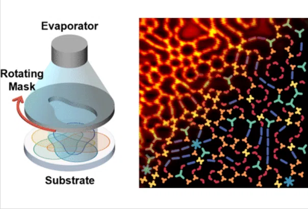 Constructing High-Entropy Molecular Networks on Metal Surfaces