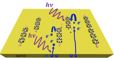 Unraveling the Mechanisms of On-Surface Photoinduced Reaction with Polarized Light Excitations