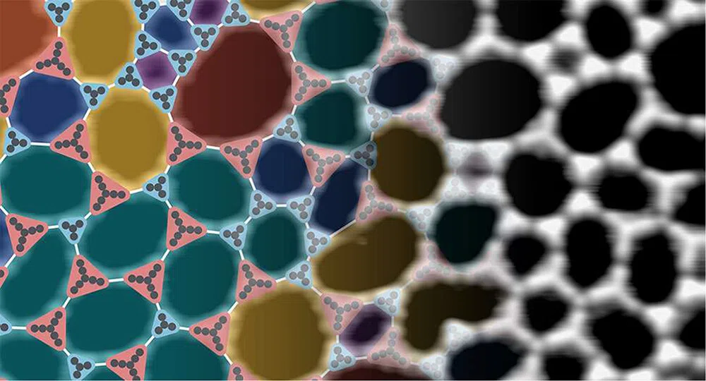 Order–Disorder Transition of Two-Dimensional Molecular Networks through a Stoichiometric Design