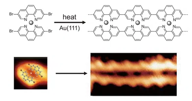 Steering on-surface polymerization through coordination with a bidentate ligand