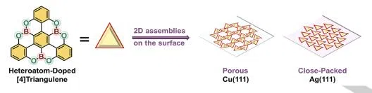 Heteroatom-Edged Triangulene: Facile Synthesis and Two-Dimensional On-Surface Self-Assemblies