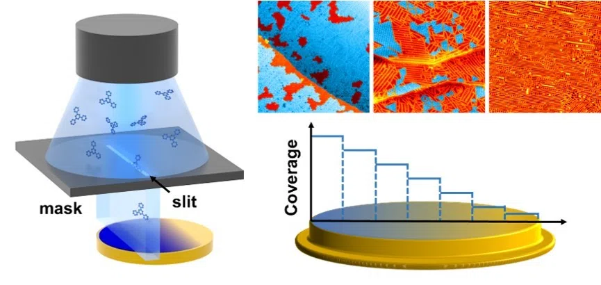 High-Throughput Preparation of Supramolecular Nanostructures on Metal Surfaces