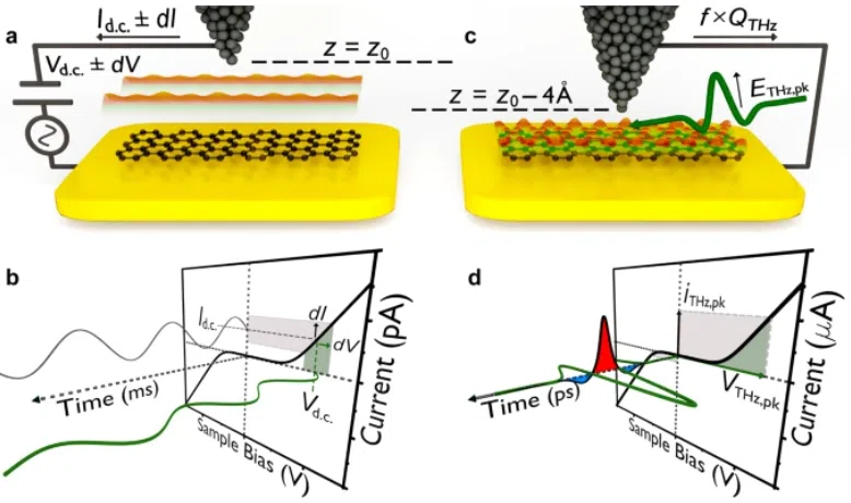 Lightwave-driven scanning tunnelling spectroscopy of atomically precise graphene nanoribbons