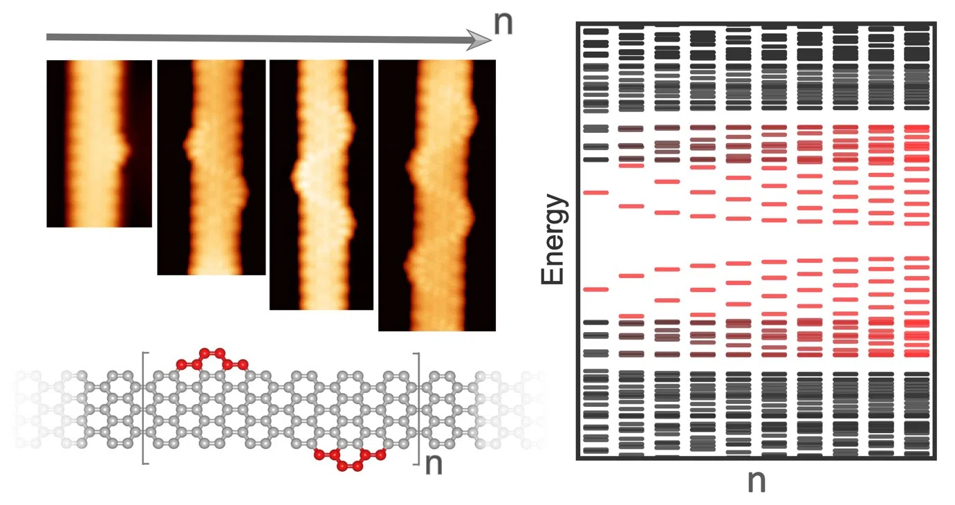Evolution of the Topological Energy Band in Graphene Nanoribbons