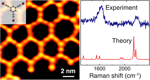 Structural, Electronic, and Vibrational Properties of a Two-Dimensional Graphdiyne-like Carbon Nanonetwork Synthesized on Au(111): Implications for the Engineering of sp-sp 2 Carbon Nanostructures